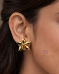 Korean Style Stud Earrings